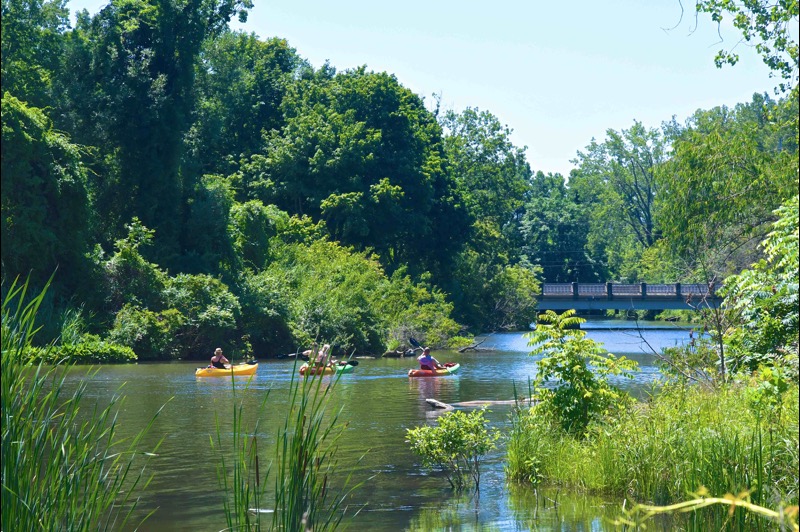 Harbor Shores Trails